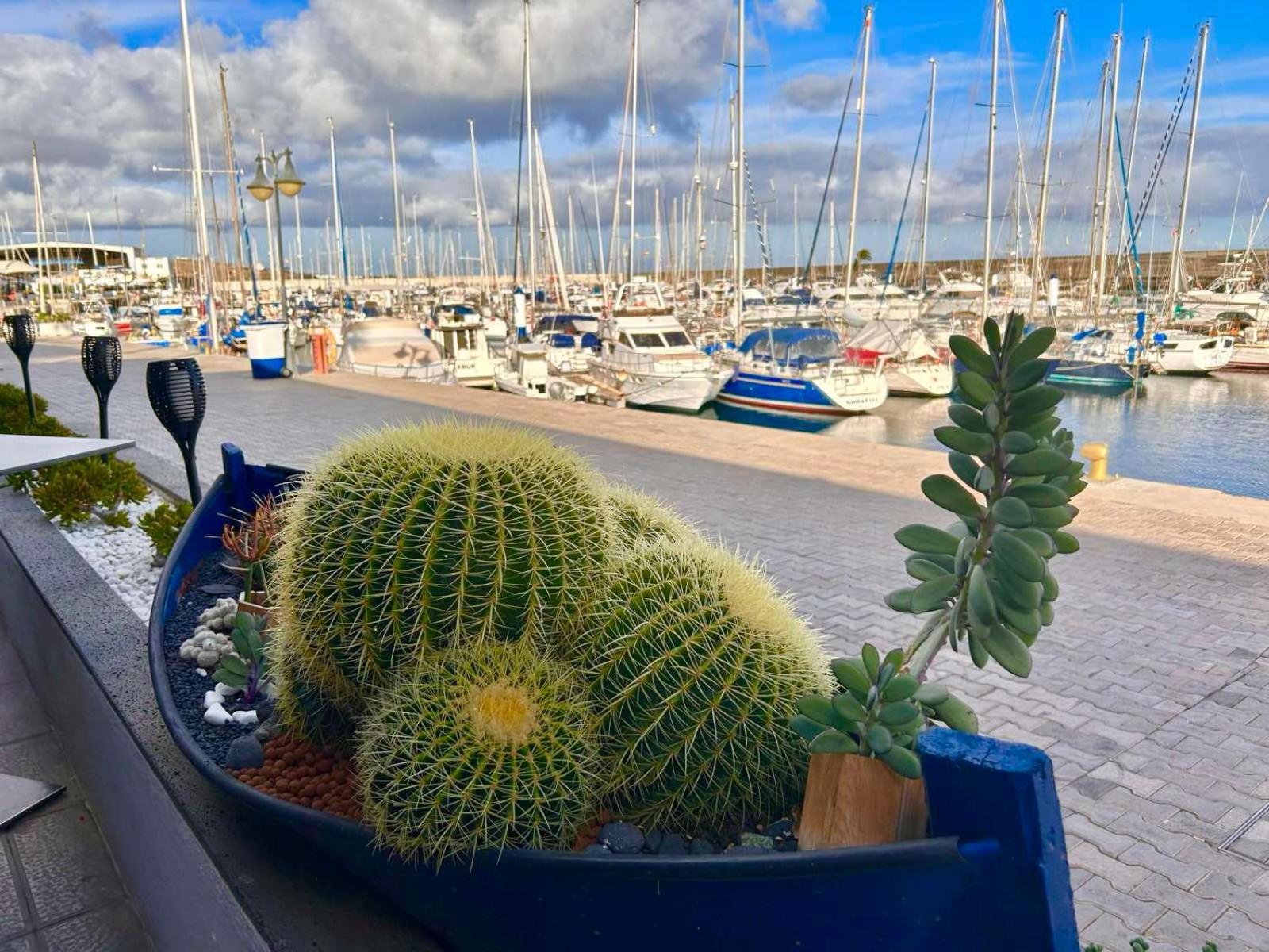 Casa Natalie La Marina Daire Puerto Calero Dış mekan fotoğraf